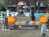 jumper Quanta 15 (Oldenburg show jumper, 2010, from Quintender 2)