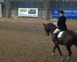 dressage horse Raritas (Hanoverian, 2006, from Rubinero 2)