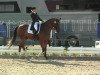 dressage horse Luigi Colani (Hanoverian, 2003, from Laurentio)