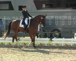 dressage horse Luigi Colani (Hanoverian, 2003, from Laurentio)