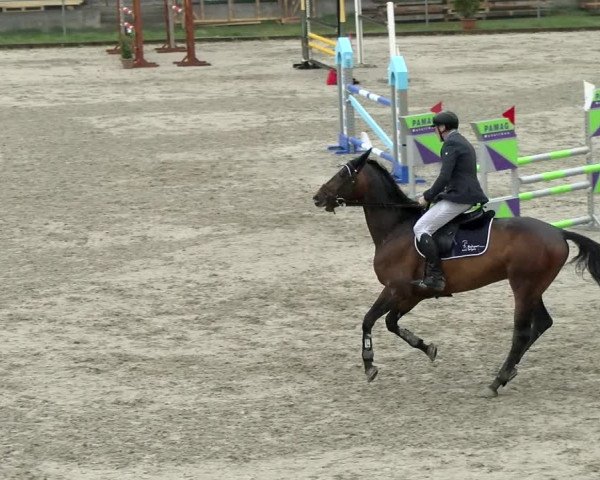 Reitturnier Schaffhausen 2021