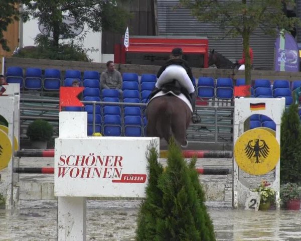 dressage horse Fräulein Meyer (Hanoverian, 2004, from Friedericus Rex)