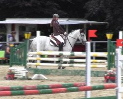 jumper Final Countdown (Hanoverian, 2004, from First Game H)