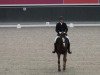 dressage horse Monsieur Lipic (Westphalian, 2002, from Münchhausen)