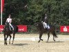 dressage horse Lui Lennox (Hanoverian, 2006, from Londonderry)