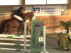 jumper Rigo 56 (Hanoverian, 2004, from Rotspon)