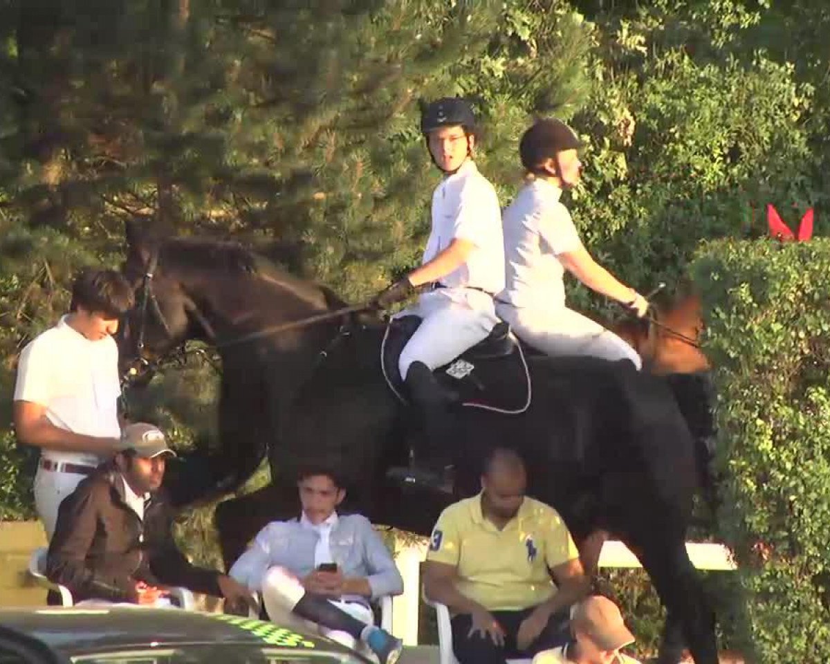 jumper Goa 20 (Hanoverian, 2000, from Graf Grannus)