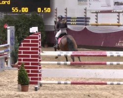 jumper Carlos 377 (Holsteiner, 2000, from Caretino)