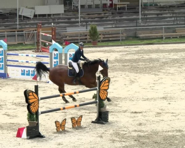 Reitturnier Schaffhausen 2021