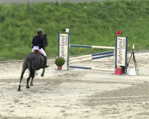 Reitturnier Schaffhausen 2021