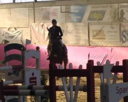 broodmare Minou 90 (Oldenburg show jumper, 2003, from Forsyth)