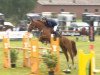 jumper Ludwig's Lust (Oldenburg show jumper, 2004, from Ludwig von Bayern 168 FIN)