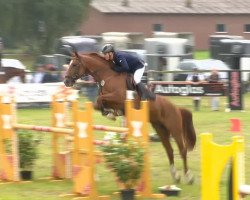 jumper Ludwig's Lust (Oldenburg show jumper, 2004, from Ludwig von Bayern 168 FIN)