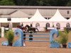 stallion Cayo Cuba (Oldenburg show jumper, 2003, from Captain Paul I)