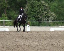 dressage horse Elavita (Trakehner, 2001, from Couleur-Fuerst)