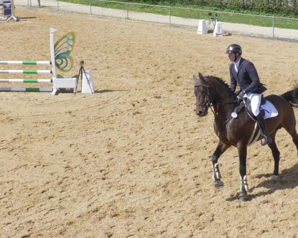 Reitturnier Zoltingen/Schw. 2021