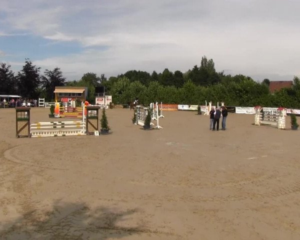 dressage horse Merlin (Westphalian, 2000, from Montmartre)