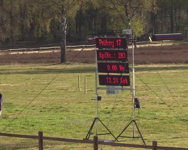 Reitturnier Westergellersen 2021