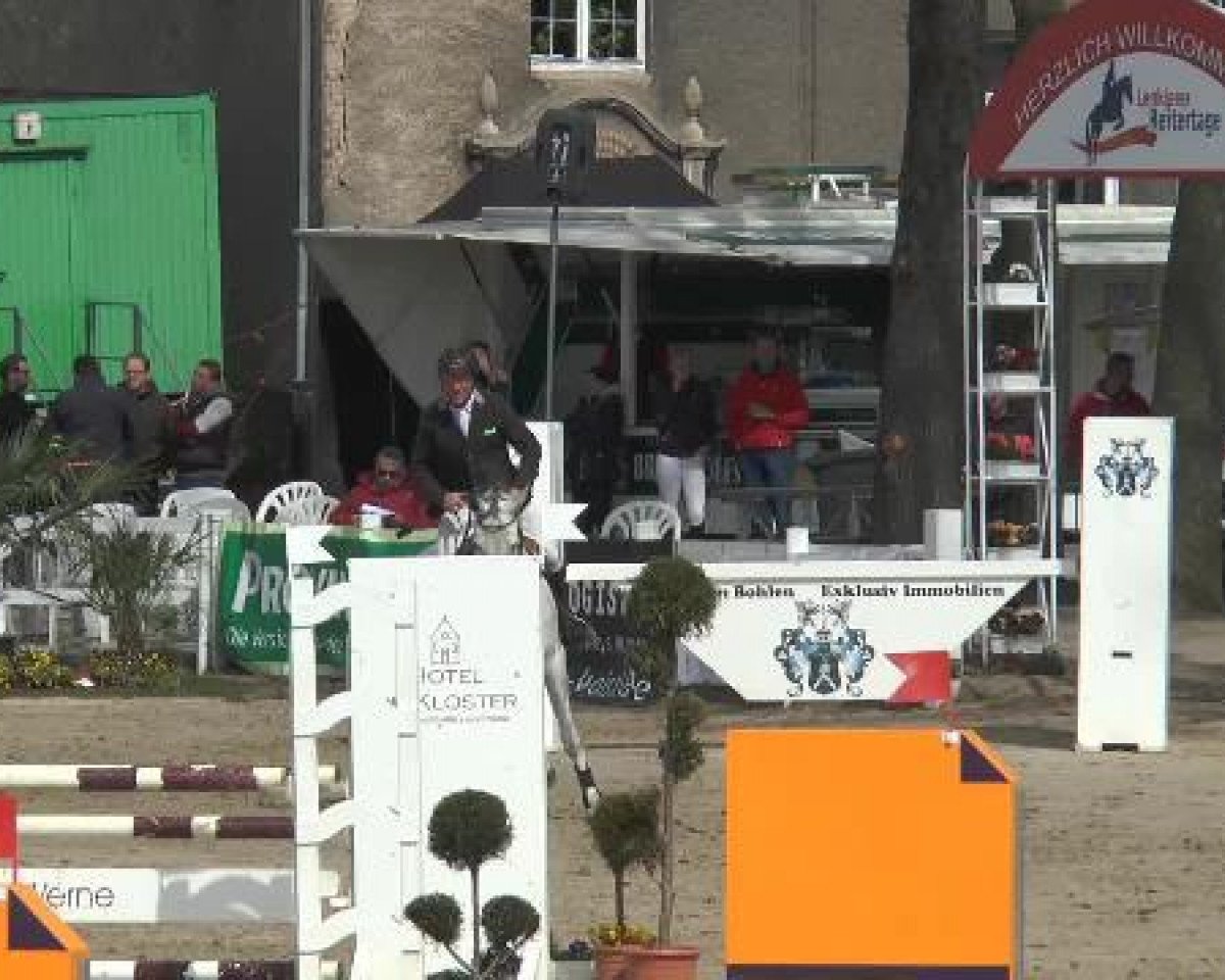Zuchtstute Coco Belle LM (Westfale, 2009, von Coronas 2)