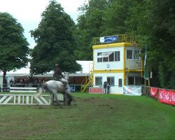 jumper Rocky Charmeur (Westphalian, 2000, from Rosenspross)