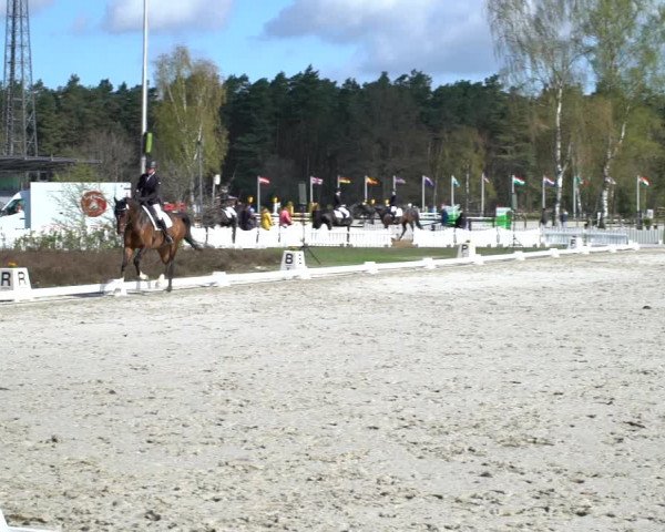 Reitturnier Westergellersen 2021