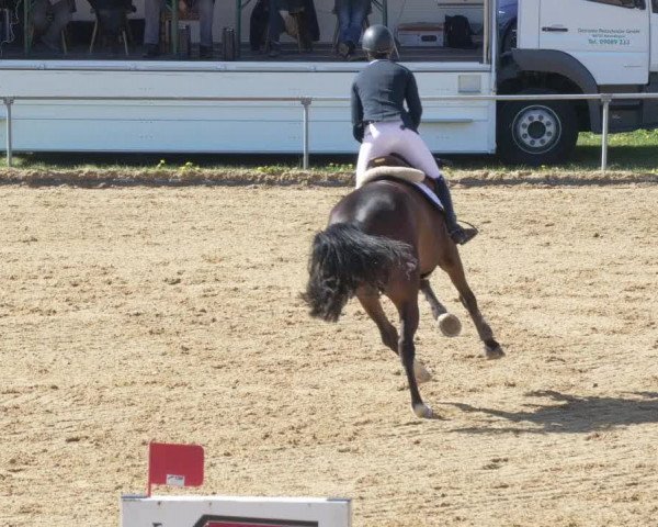 Reitturnier Zoltingen/Schw. 2021