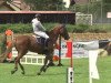 Springpferd Quito 31 (Westfale, 2003, von Quidam's Rubin)