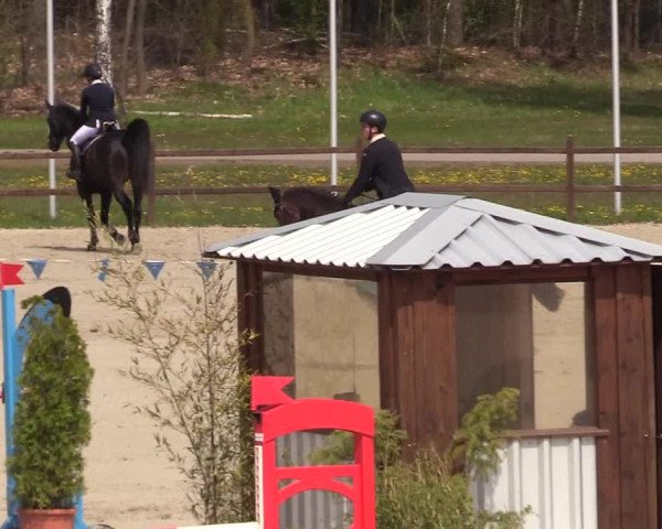 Reitturnier Westergellersen 2021