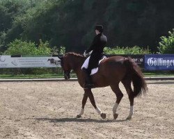 dressage horse Ambassador Las Marismas (Westphalian, 2000, from Abanos)