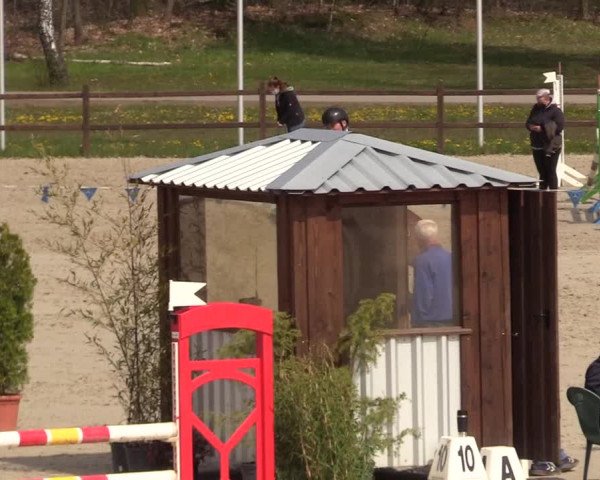 Reitturnier Westergellersen 2021