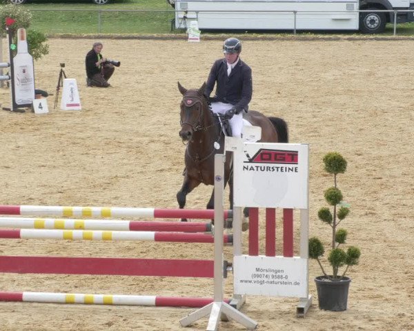 Reitturnier Zoltingen/Schw. 2021