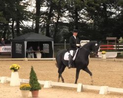 dressage horse Donnero (Oldenburg, 1995, from Donnerschlag)