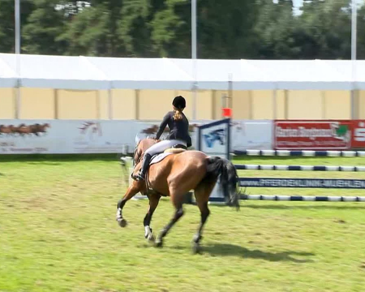 broodmare Roulette (Oldenburg, 1998, from Royal Diamond)