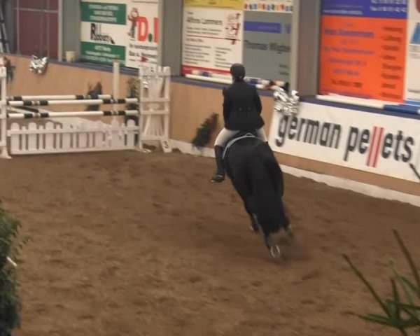 jumper Encore Royale GH (Hanoverian, 2003, from Escudo I)