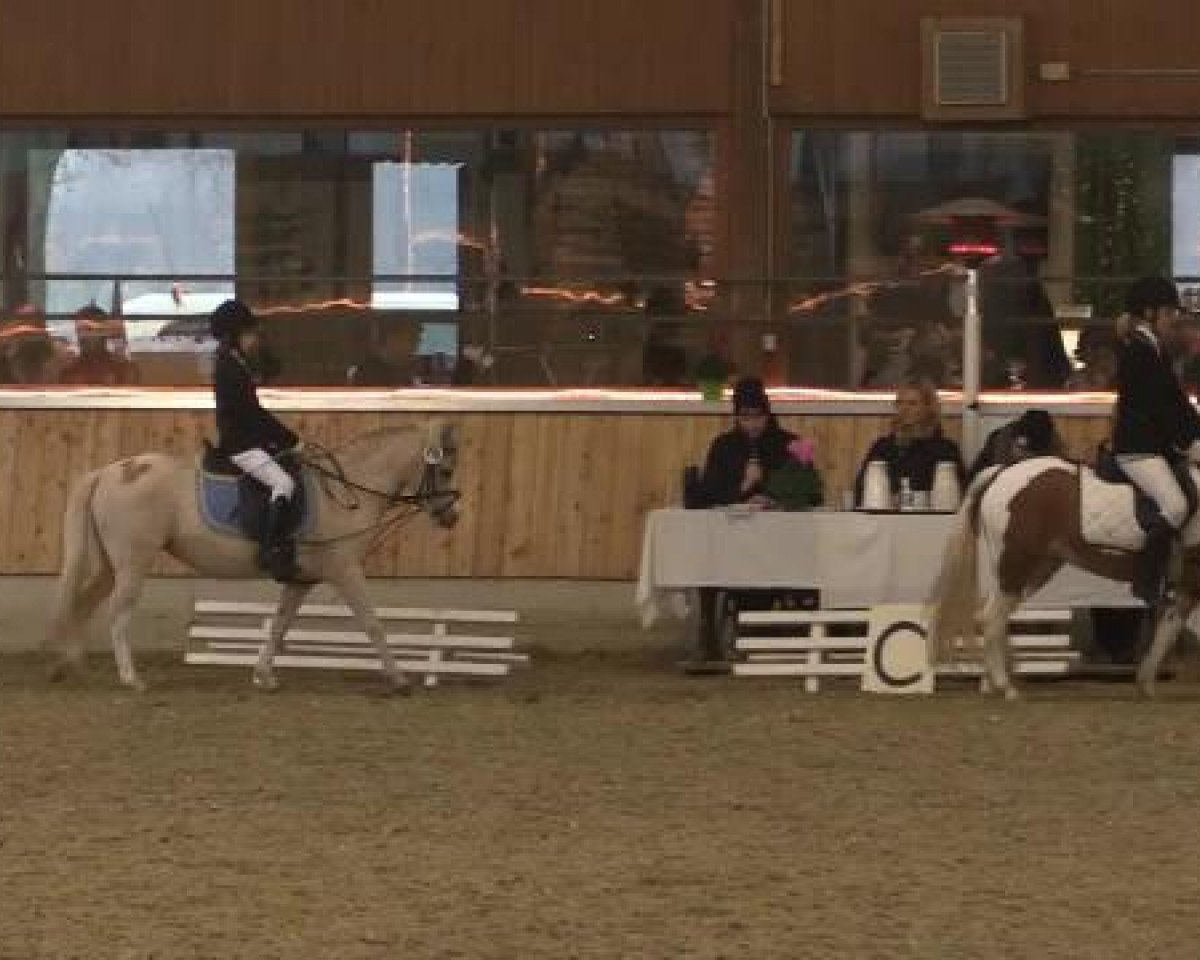 broodmare Lolle (Hanoverian, 2001, from Lauries Crusador xx)