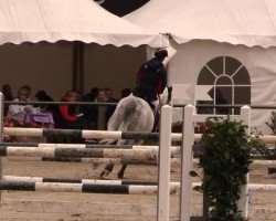 jumper Caspio (Mecklenburg, 2003, from Calato)