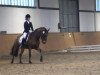 dressage horse Mescalero (German Riding Pony, 2000, from Menelaos)