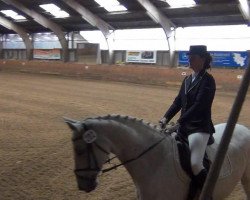 dressage horse Los-Landos (Holsteiner, 1999, from Lacantus)