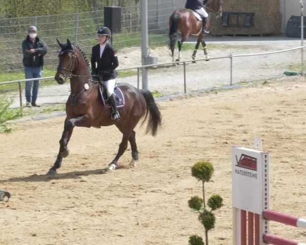 Reitturnier Zoltingen/Schw. 2021