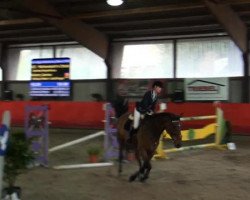 jumper Muehlenteich's Chicki Micki (Zangersheide riding horse, 2005, from Caridor)