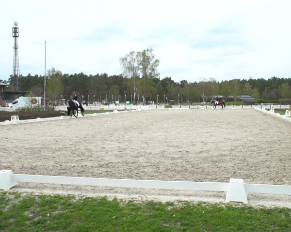 Reitturnier Westergellersen 2021