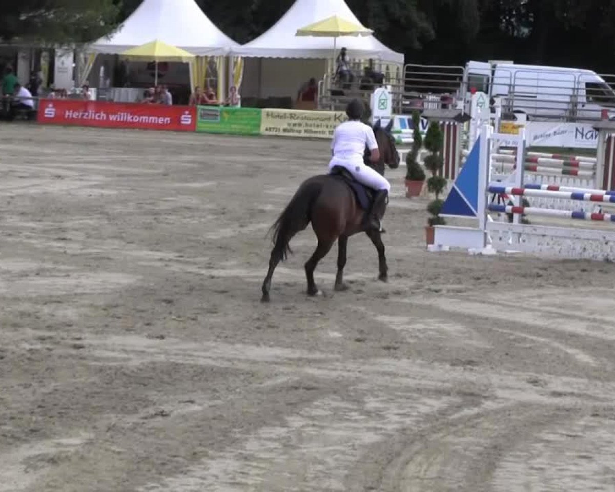 broodmare Lucija (Holsteiner, 1993, from Lahor)