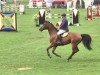 jumper Carlo L (Hessian Warmblood, 2002, from Catano)