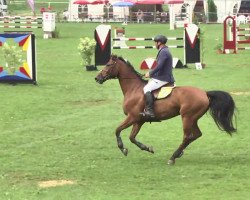 jumper Carlo L (Hessian Warmblood, 2002, from Catano)