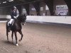 dressage horse Argus (Bavarian, 2002, from Asti Spumante 7)