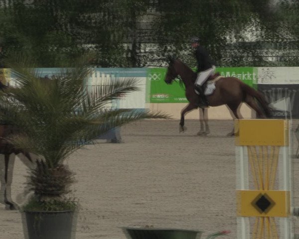 Reitturnier Monheim - Gut Blee 2021