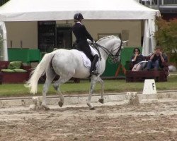 broodmare Pamela (German Sport Horse, 2003, from Expo'se)