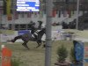 jumper Zorro 242 (Hanoverian, 2002, from Zacharias)