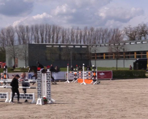 Reitturnier Neustadt/Dosse 2021