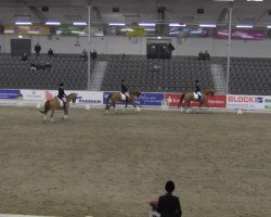 dressage horse Davino 23 (Hanoverian, 2006, from Dauphin)